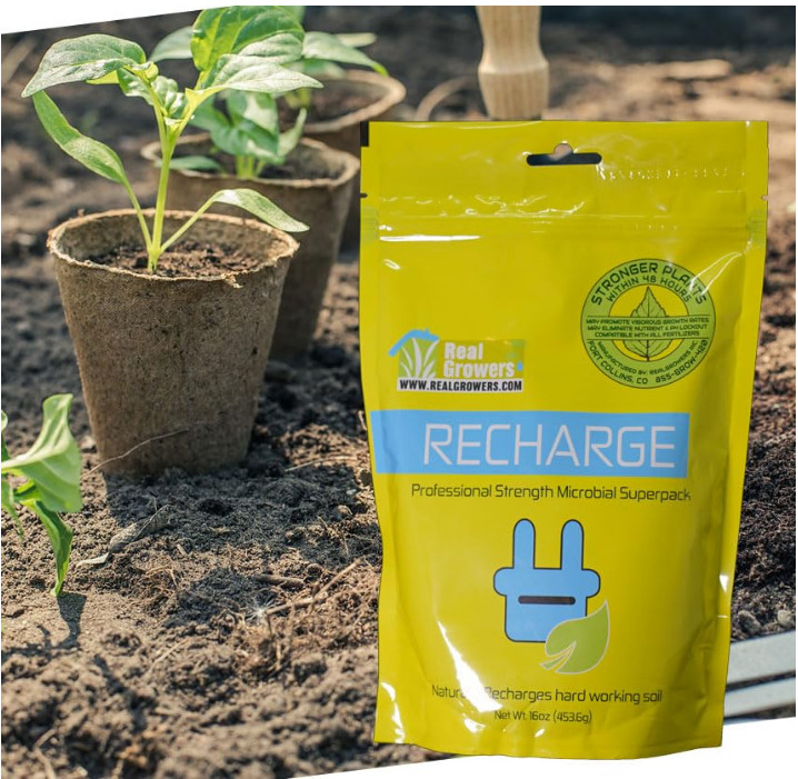 Real Growers Recharge Mycorrhizae Compost Tea, 16oz for Plant Growth