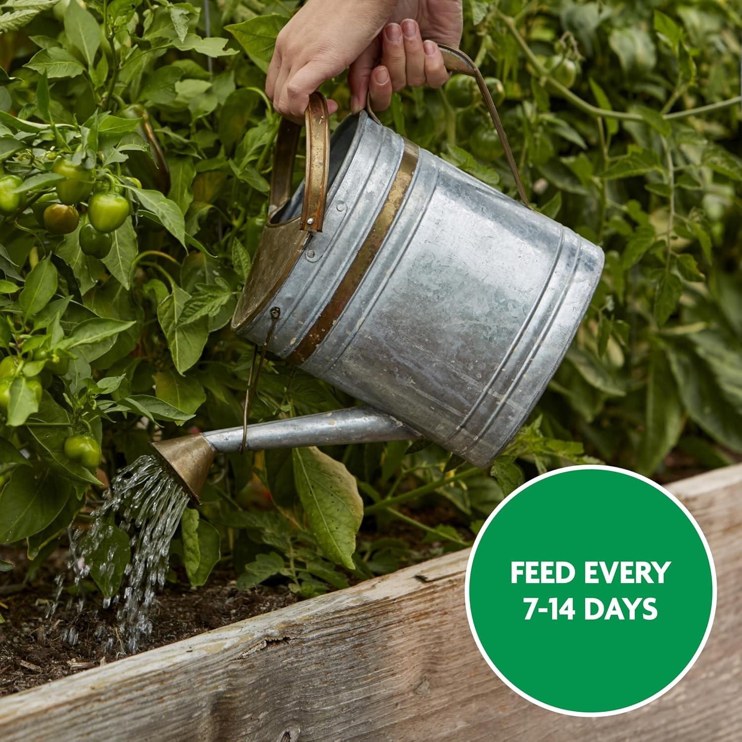 1.5 lb Safe and Effective Water Soluble Plant Food for Tomatoes & Vegetables