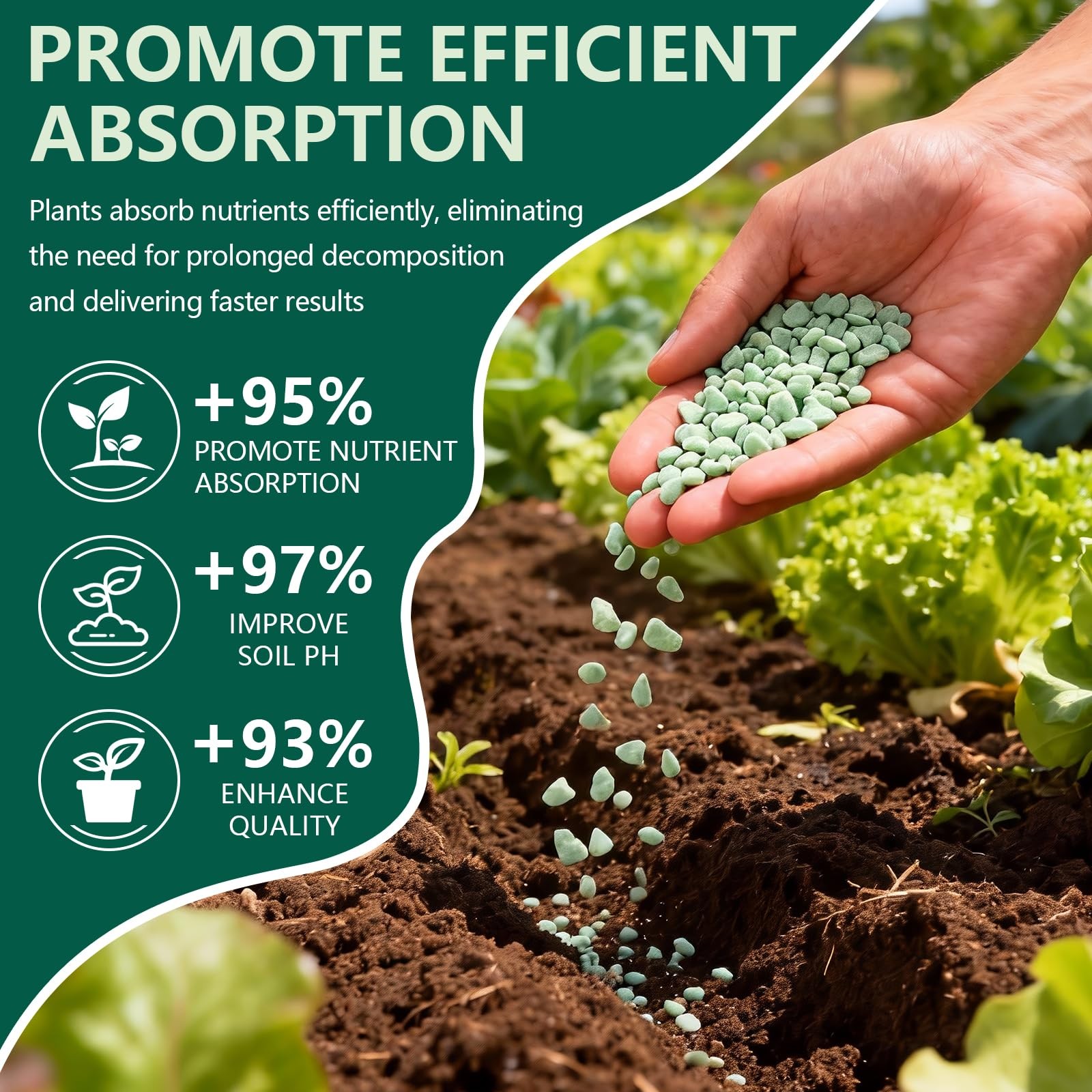 EYAEYAO Ferrous Sulfate Granules 20% Iron, Soil Acidifier for Lawns & 8 oz