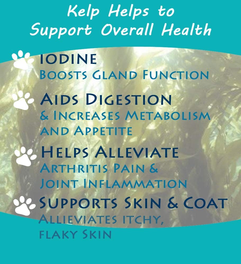 Icelandic Kelp Meal 5lbs – Nutrient-Rich Seaweed for Livestock, Pets & Plants