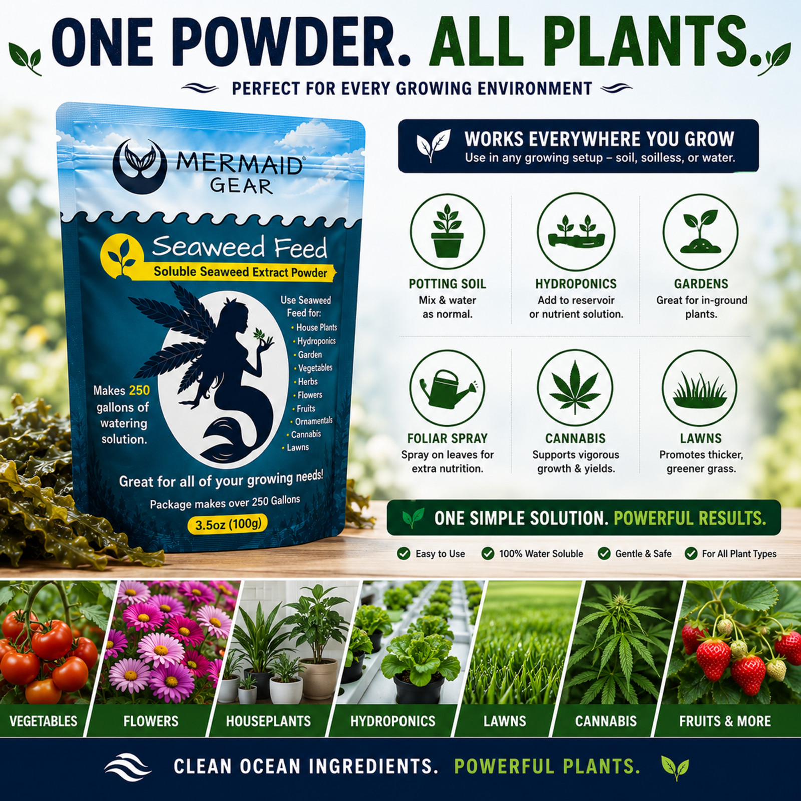 Seaweed Fertilizer 100% Organic Kelp Hydroponic Soil Garden Lawn Flowers Plants