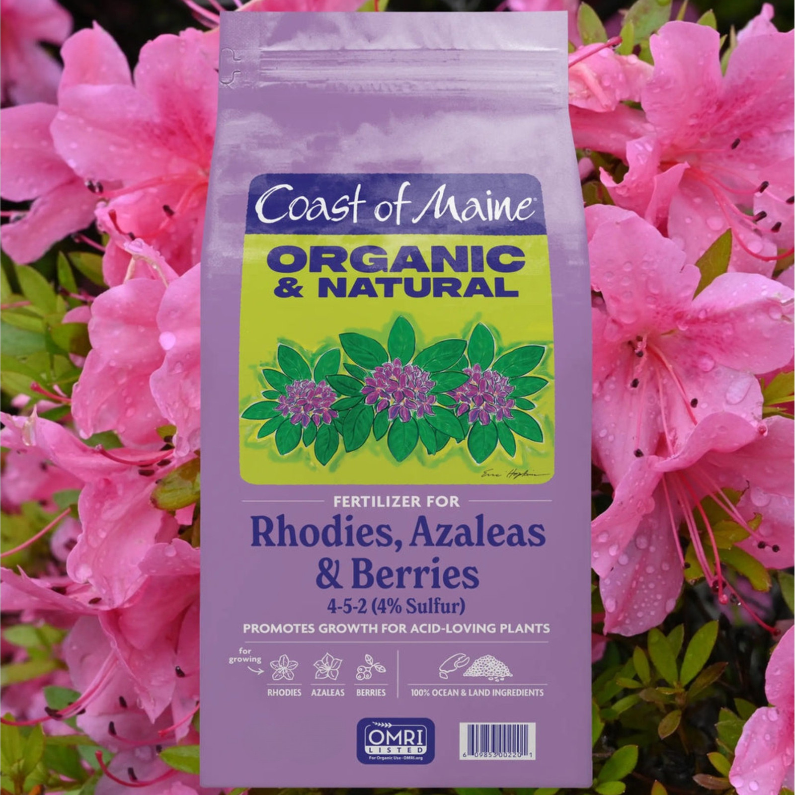 Coast of Maine Fertilizer for Rhodies, Azaleas & Berries, 12lb