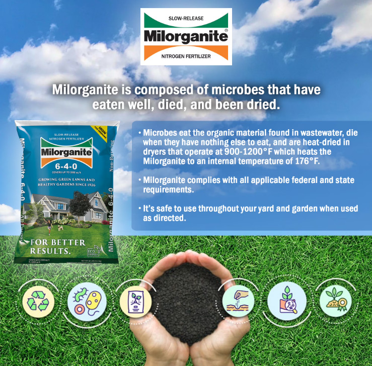 NEW Milorganite Long Lasting All Purpose Lawn Food, 6-4-0 Fertilizer,32 lb – 2P