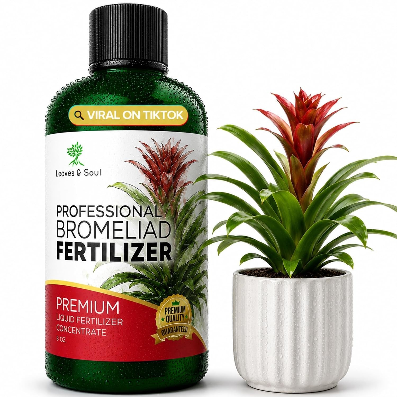 Bromeliad Fertilizer Liquid 3-1-2 Concentrate 8 oz