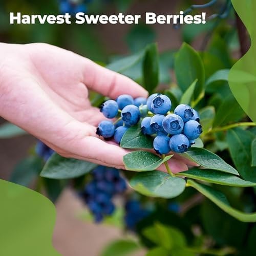 Liquid Blueberry Fertilizer by Perfect Plants | Berry Booster | Premium Ferti…