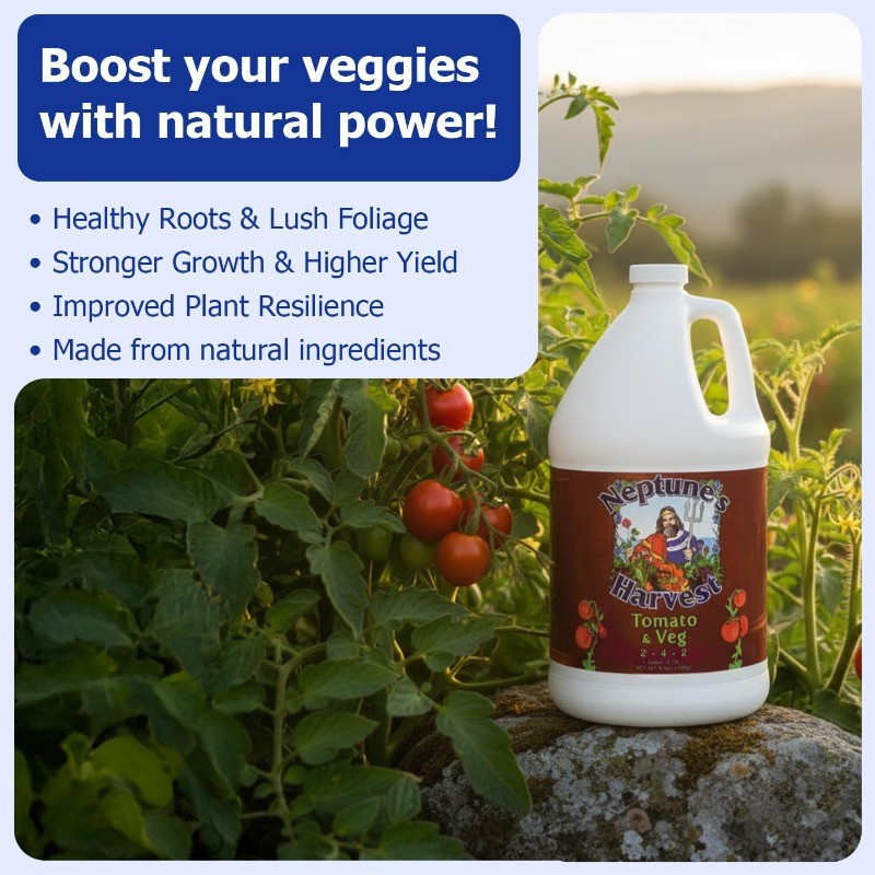 Organic Tomato Vegetable Plant Fertilizer (2-4-2) Liquid Plant Food w/Fresh Fish