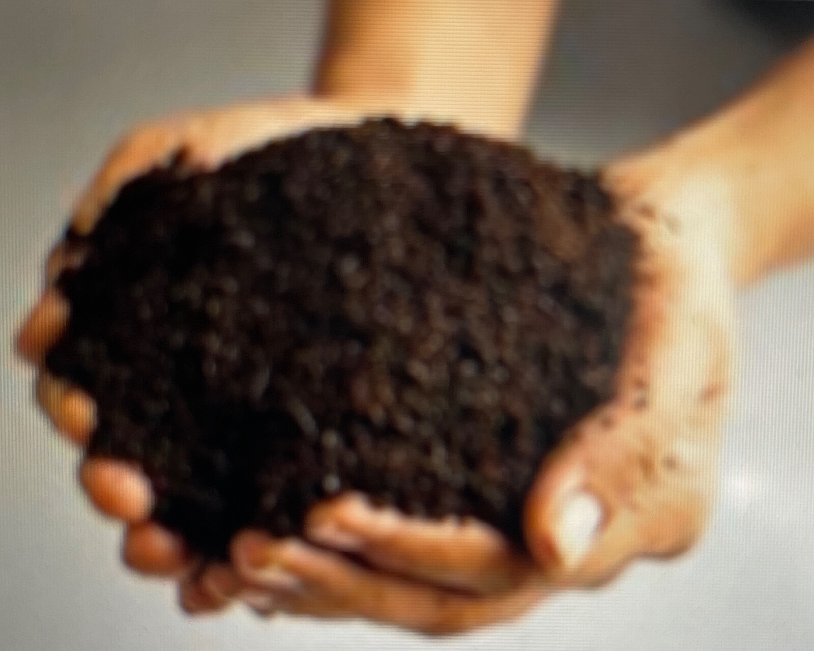 Fertilizer – Organic, Your Garden will ❤️❤️
