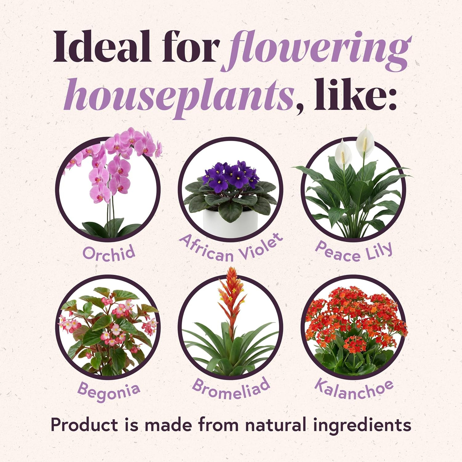 We the Wild Organic Bloom Pump and Go – Liquid Flower Booster and Fertilizer for