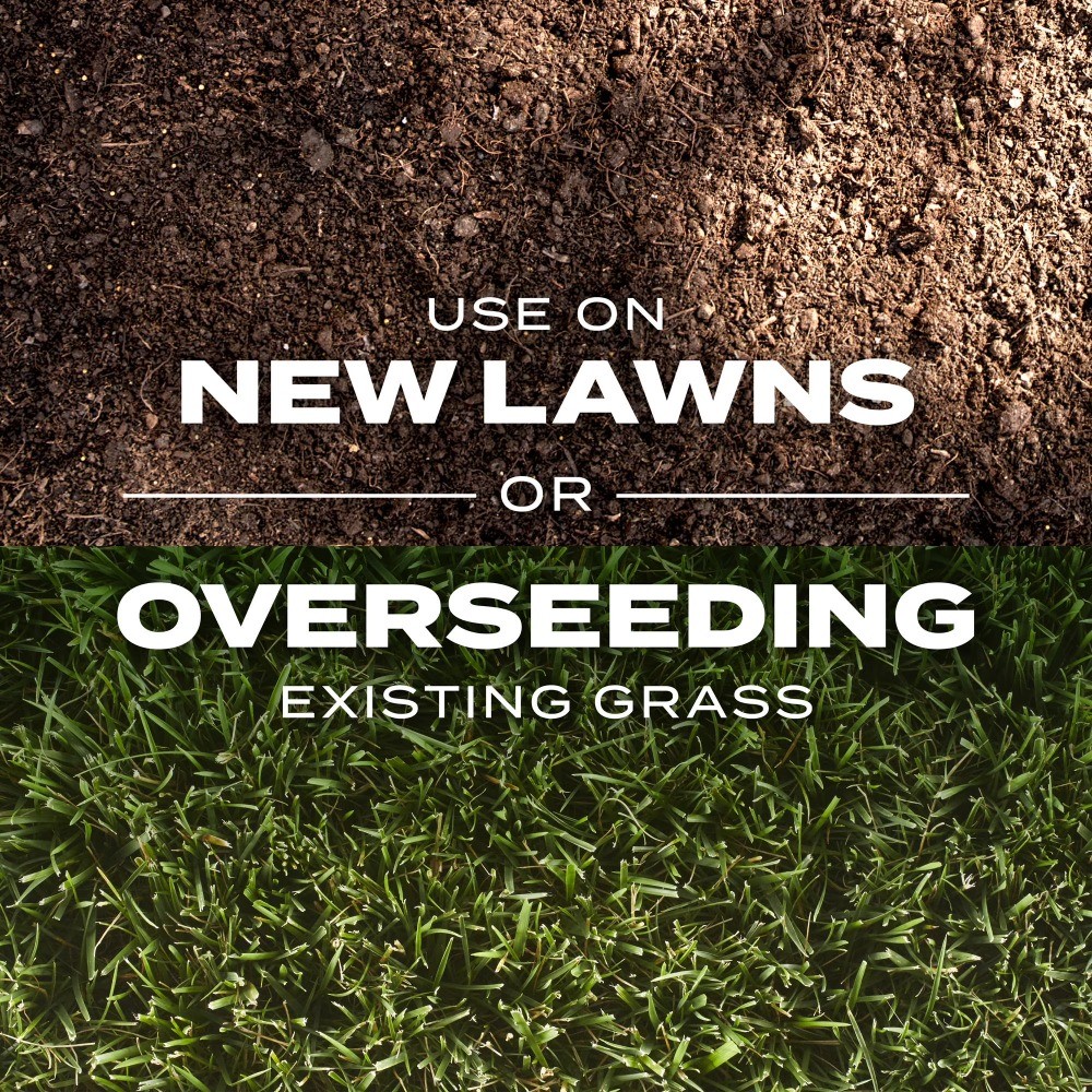 Turf Builder Rapid Grass Tall Fescue Mix, Grass Seed and Fertilizer, 5.6 lbs.