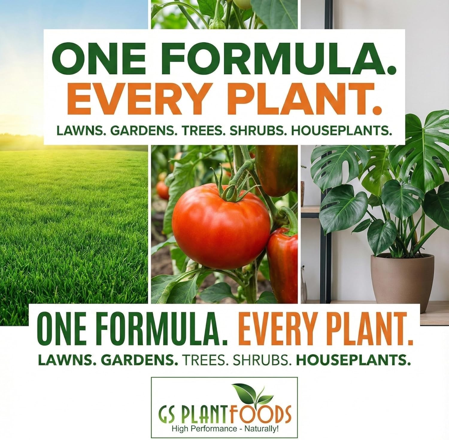 Organic Seaweed Concentrate – Plant Vitality – 1 Gal