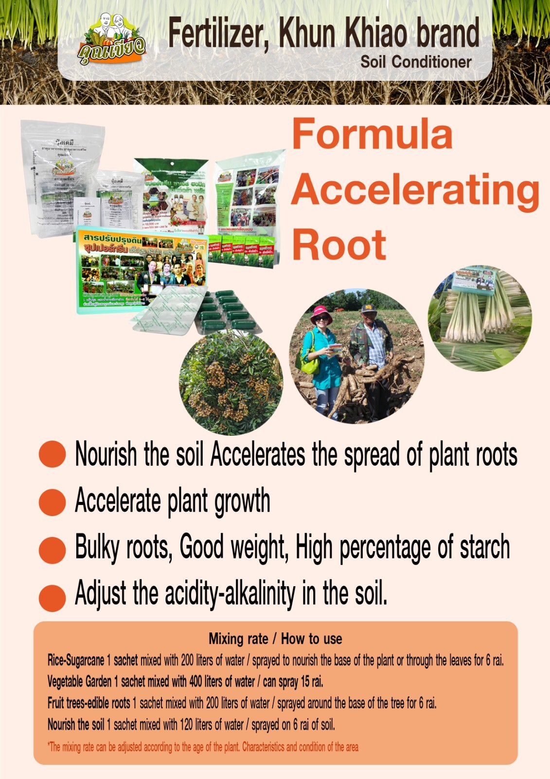 1 sachet 1 gram Fertilizer Powder for Soil Conditioning Khun-Khiao Brand