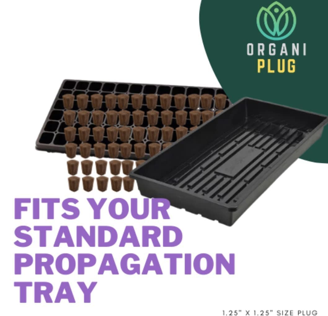 VPS OrganiPlug Hydroponic Seed Starter Plugs, 2000 Pack, Rapid Root Planting …