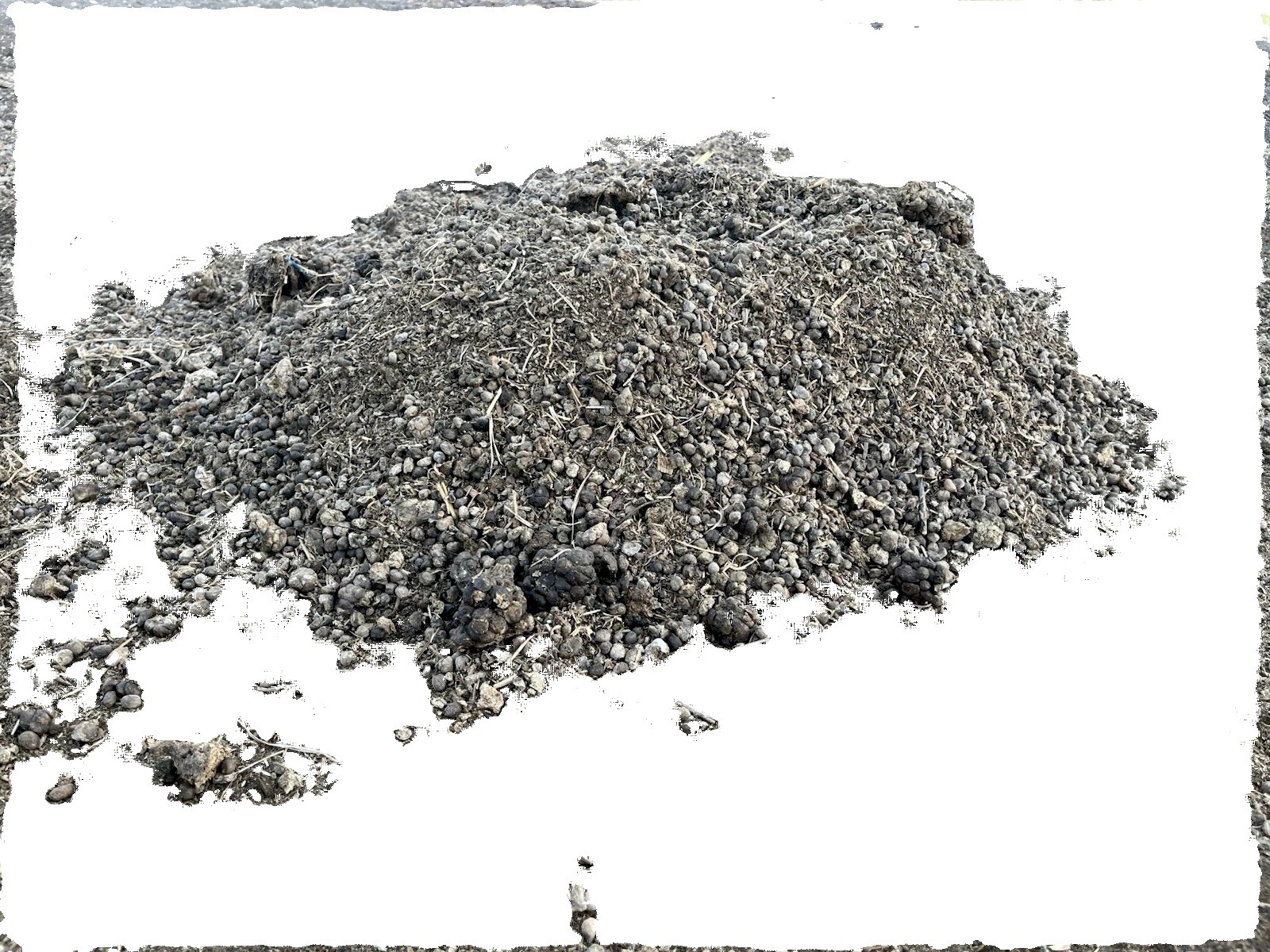 Alpaca Poop Dried Beans Fertilizer 2 Lb Bag