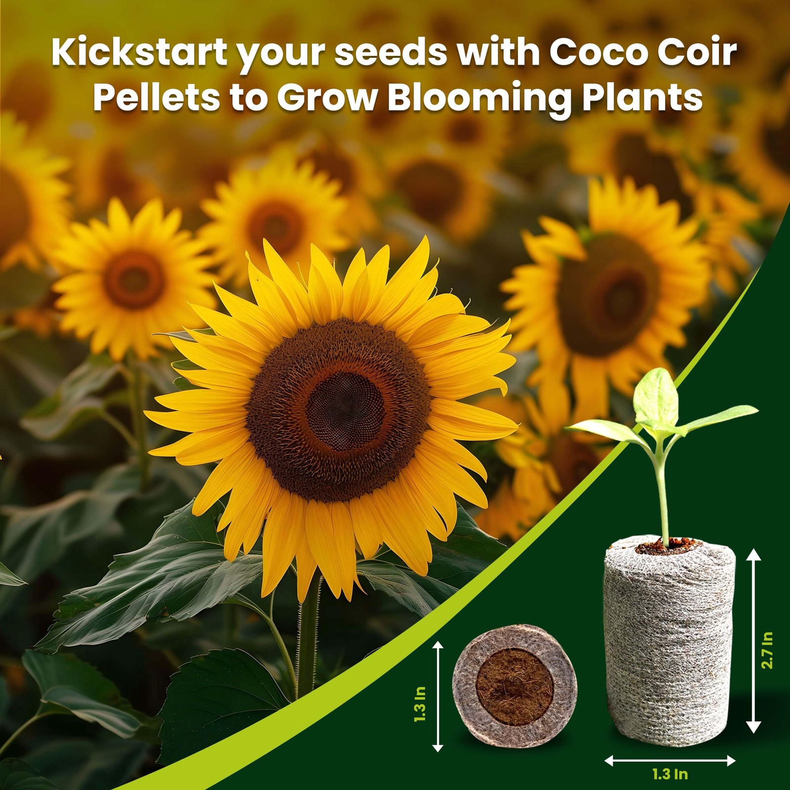Gro Med Organic Coco Coir Seed Starter Pellets NPK Enriched 50 Pcs 35mm Perfect