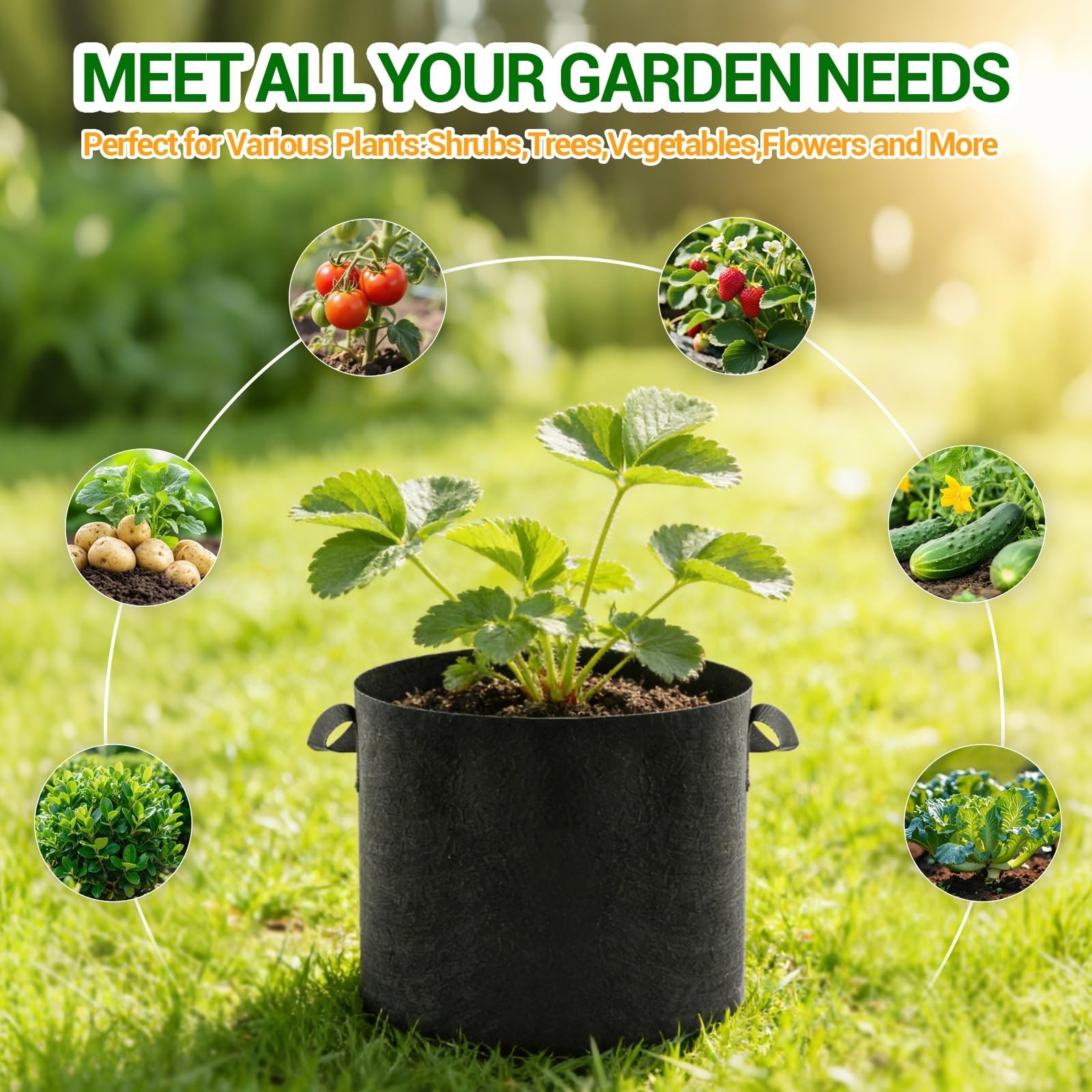 5-Pack 5 Gallon Grow Bags, Thickened Aeration Fabric Pots | Heavy Duty Plant …