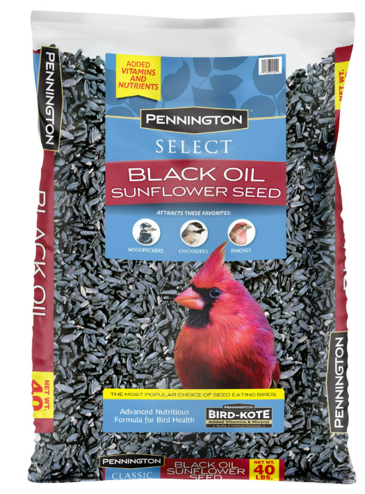 (3 pack) Pennington Select Black Oil Sunflower Seed Wild Bird Dry Feed, 10 lb.