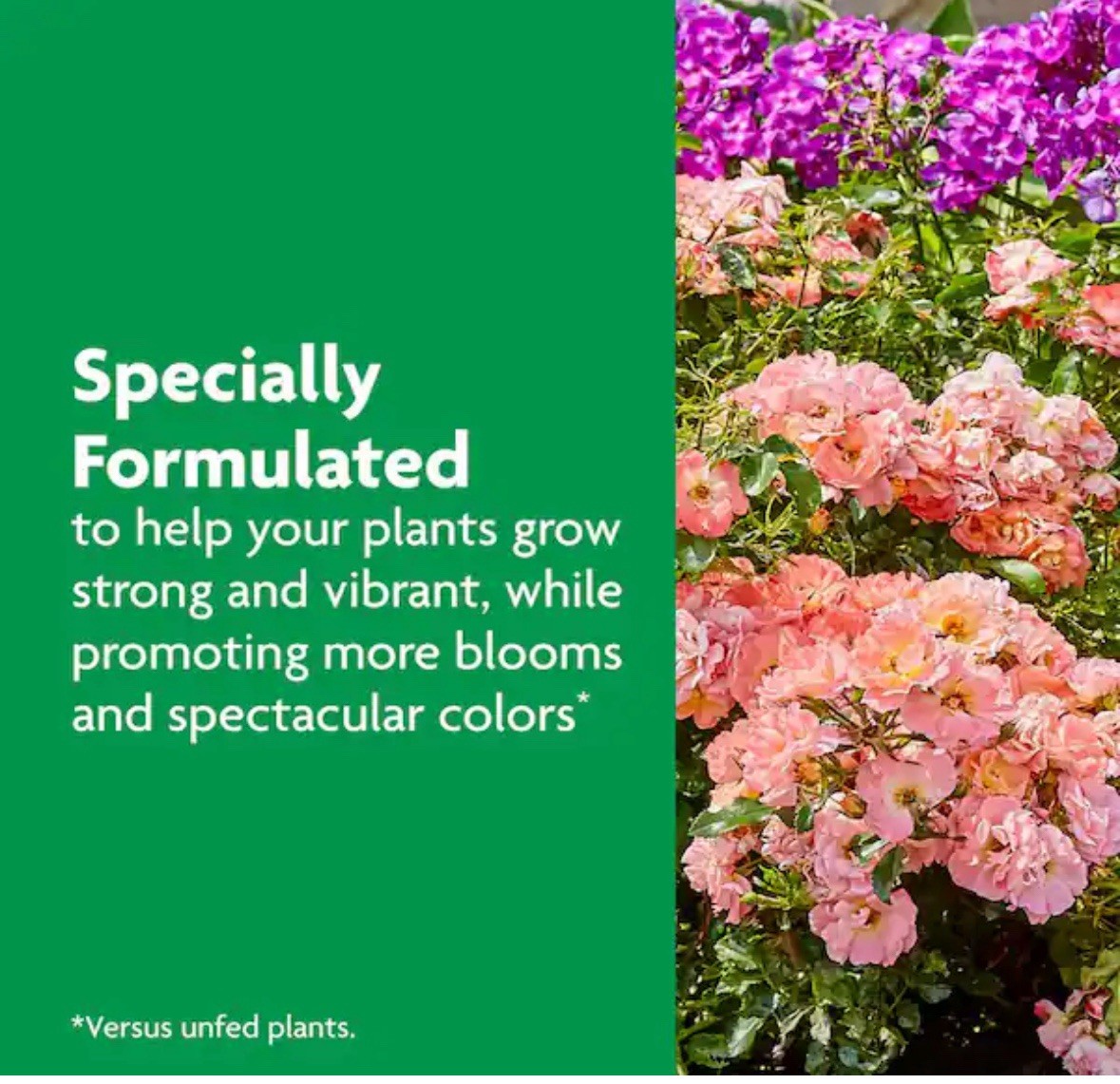 Miracle Gro Shake n Feed Rose & Bloom 4.5 Lbs