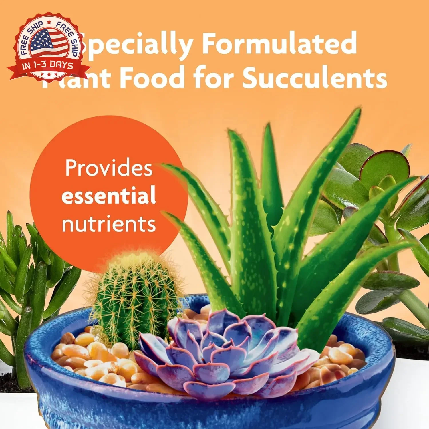 Miracle-Gro Succulent Plant Food – Liquid Fertilizer for Succulents and Cacti in