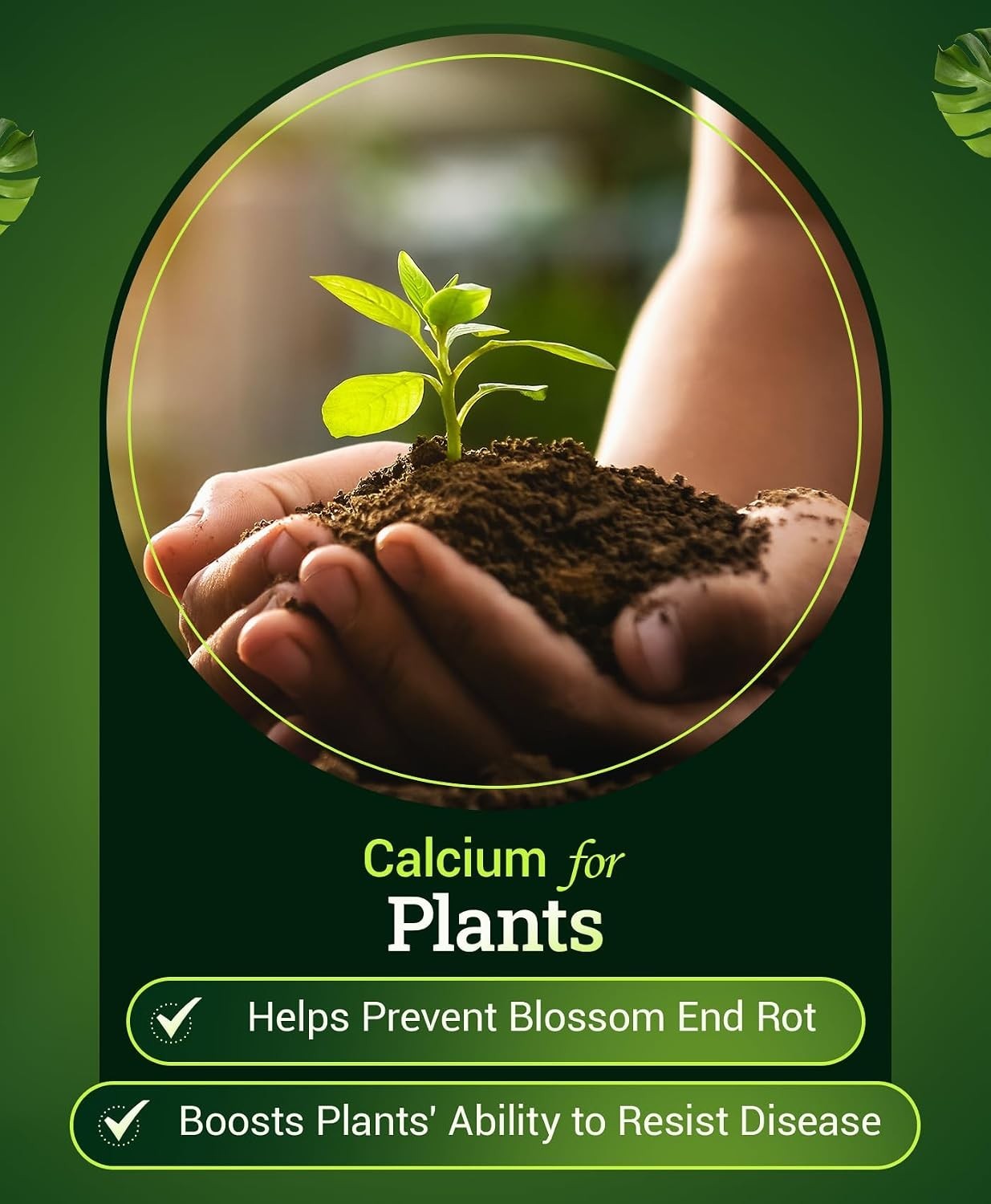 Happy Frog Tomato & Vegetable Fertilizer – Vegetable Fertilizer for Vigorous …