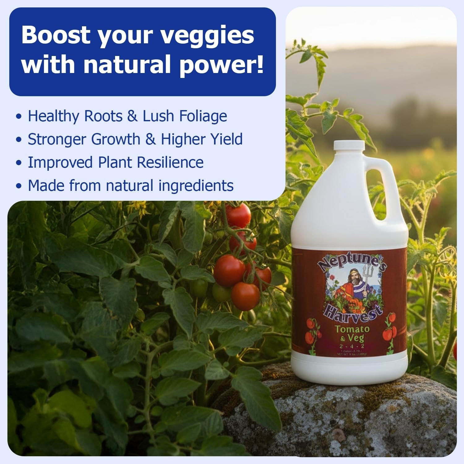 Neptune’s Harvest Organic Tomato & Vegetable Plant Fertilizer 2-4-2 – Liquid …
