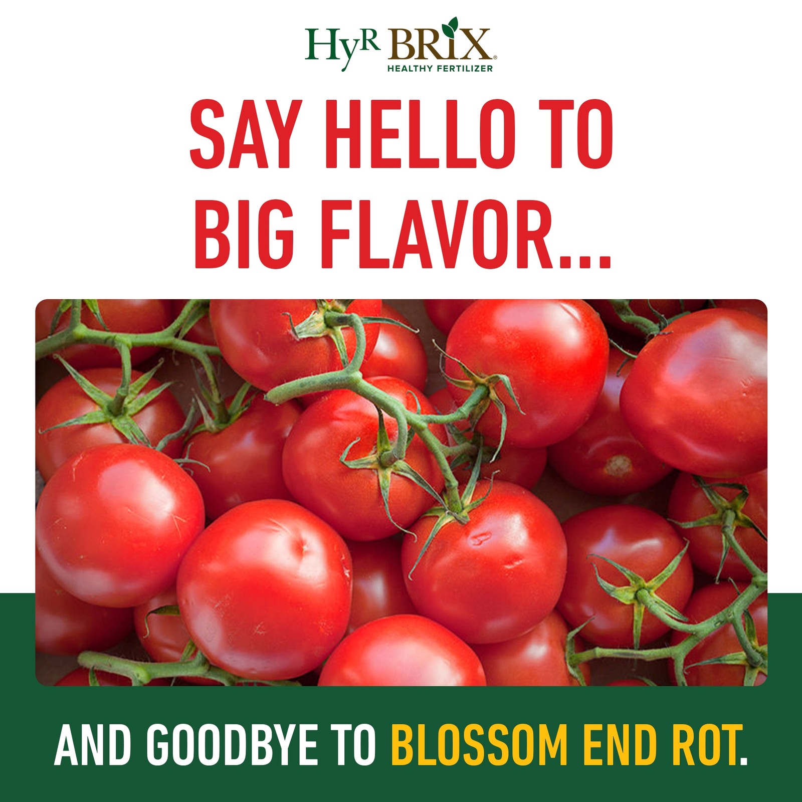 HyR BRIX Slow-Release 5-8-10 Tomato Fertilizer, 45lb Bag
