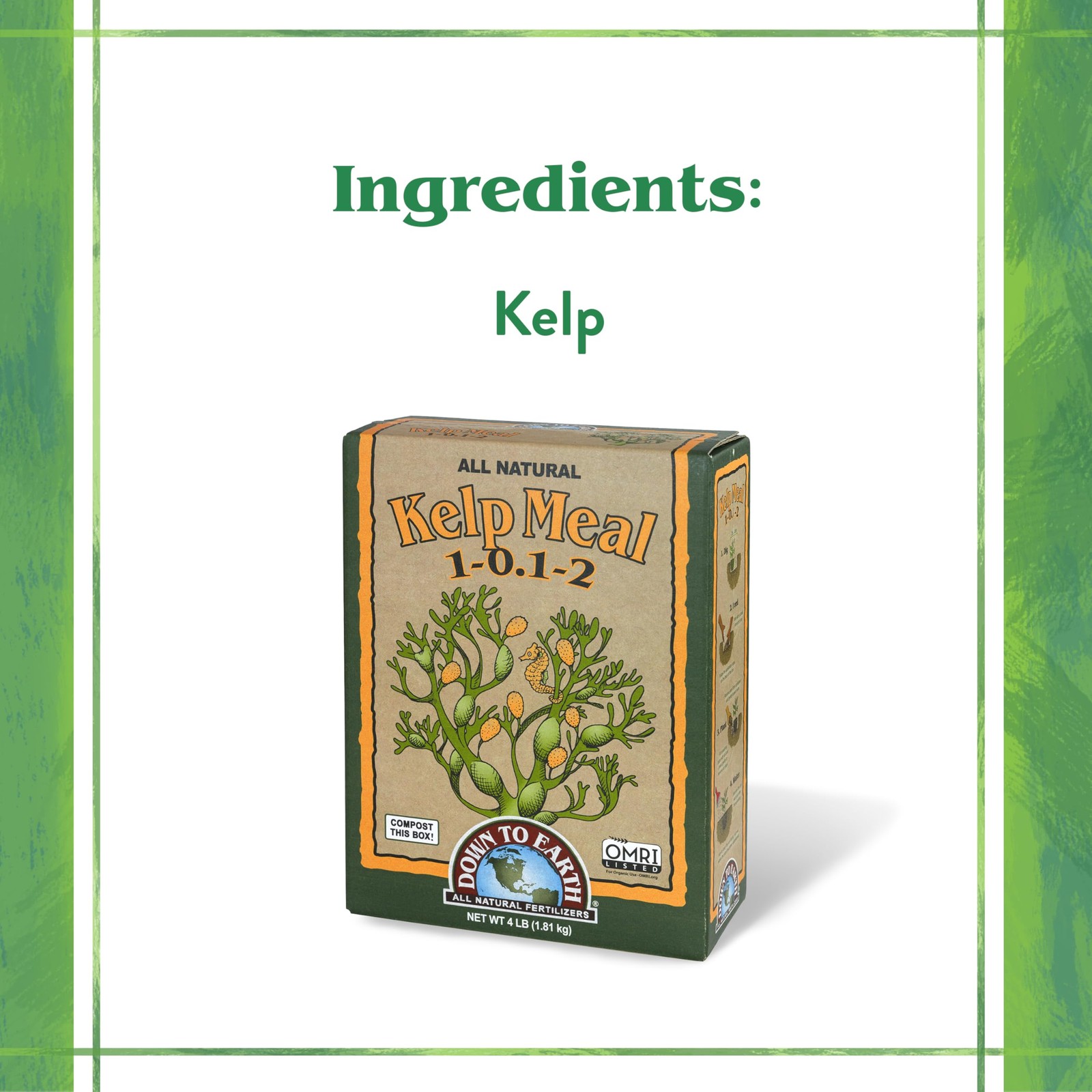 Organic Kelp Meal – Plant Food with Seaweed (Ascophyllum nodosum), Potassium …