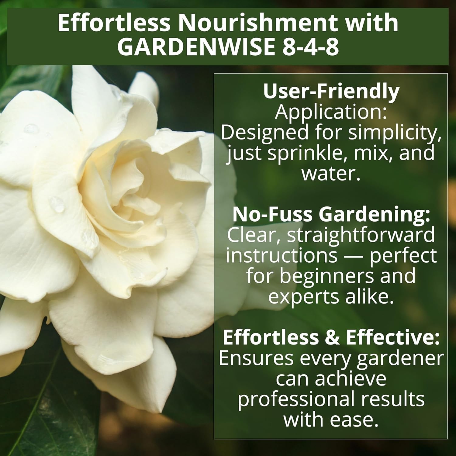 8-4-8 Acidic Fertilizer for Azaleas, Camellias Camelia, Hydrangeas, Blueberri…