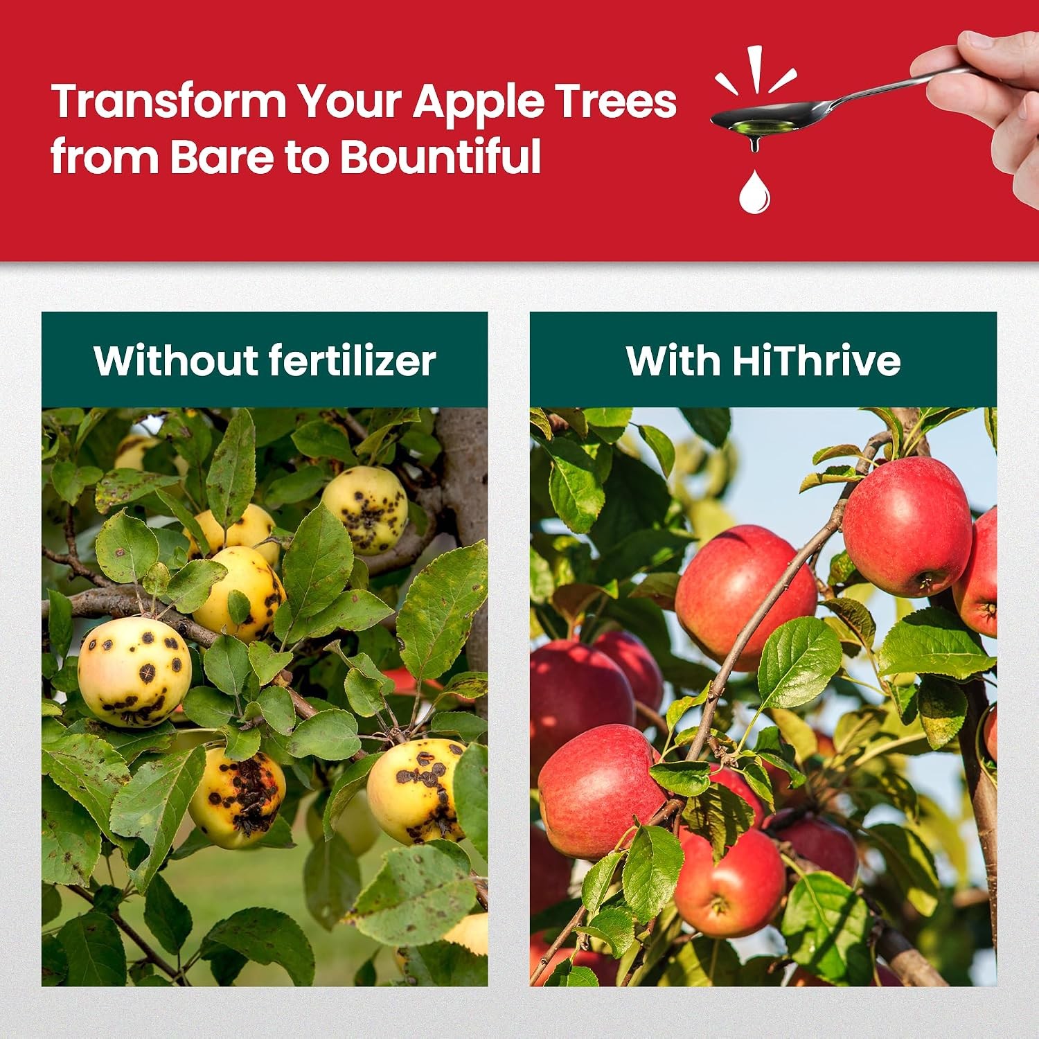 16oz Apple Tree Fertilizer Makes 16 Gallons of Apple Tree Fertilizer