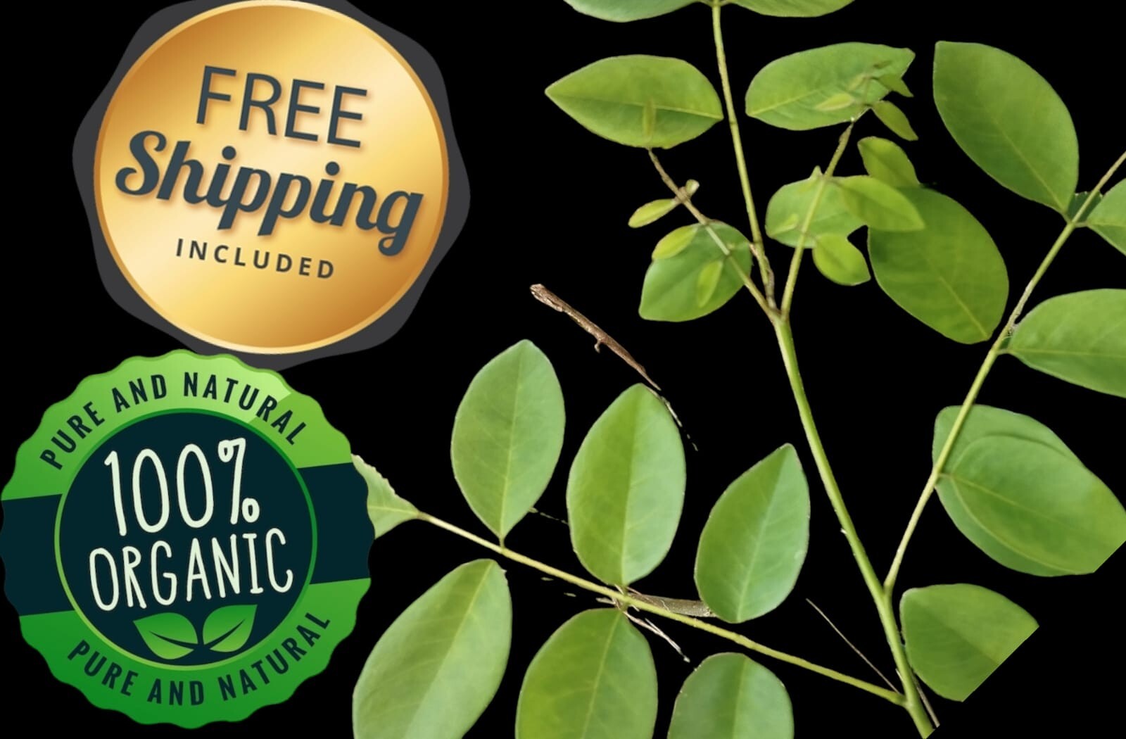 Dried Gliricidia Sepium Leaves Compost Nitrogen Organic Fertilizer 100+ levaes