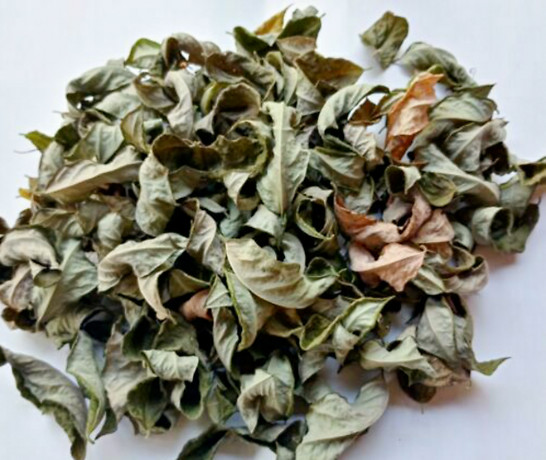 Dried Gliricidia sepium Leaves Compost Fertilizer Manure For Plants Leaf Natural