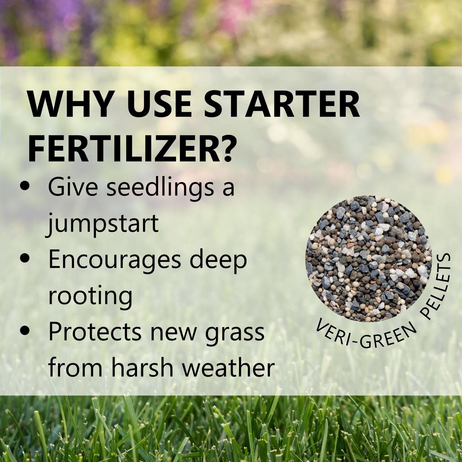 Jonathan Green Veri-Green Lawn Starter Lawn Food For All Grasses 1500 sq ft
