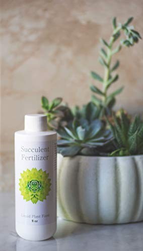 Succulent Fertilizer Liquid Plant Food 8 oz 3-1-2 NPK for Cactus Echeveria Aloe