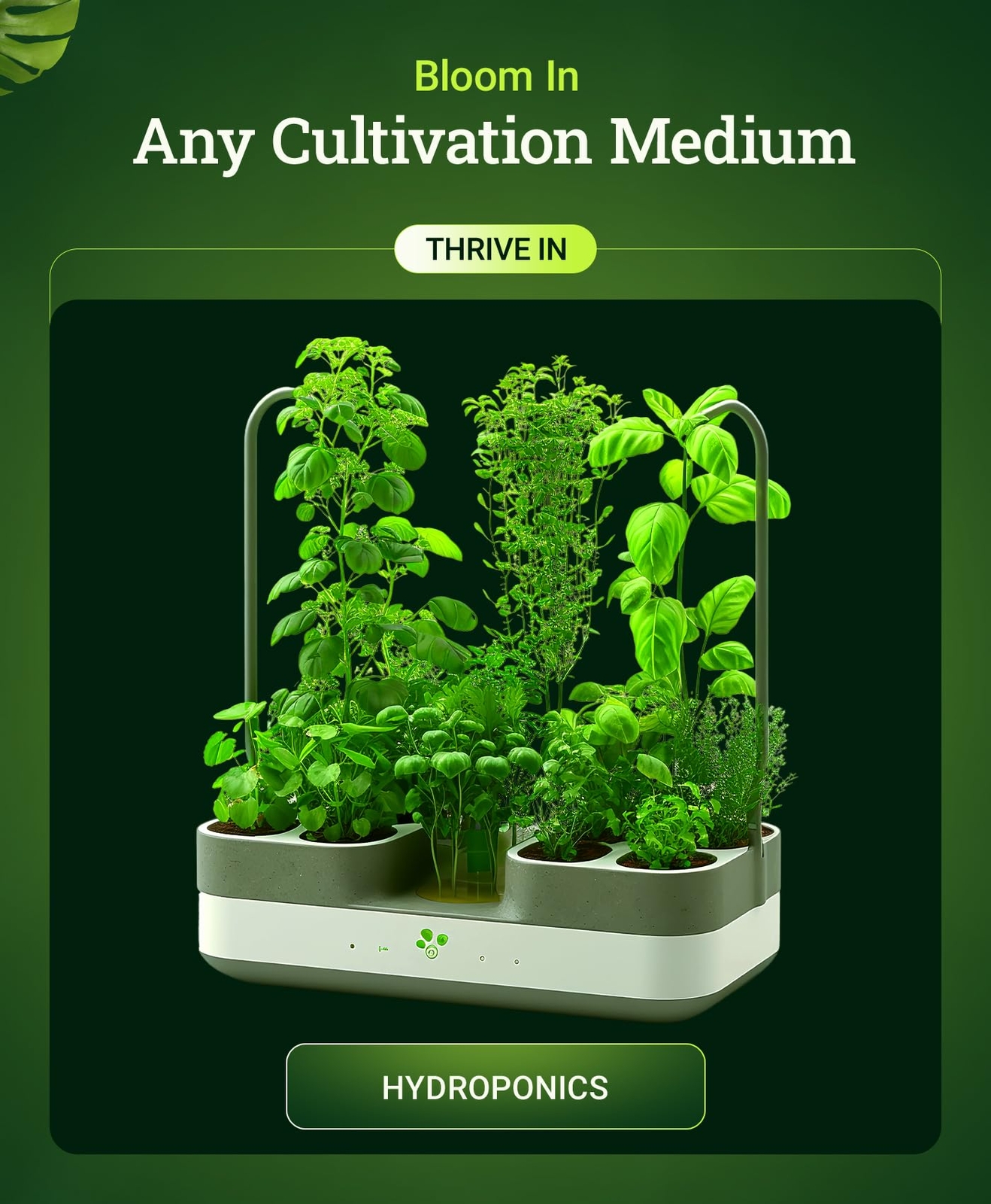 Cultivation Nation pH Down Fertilizer 1 Pint for Plant Growth pH 5.6 to 6.8