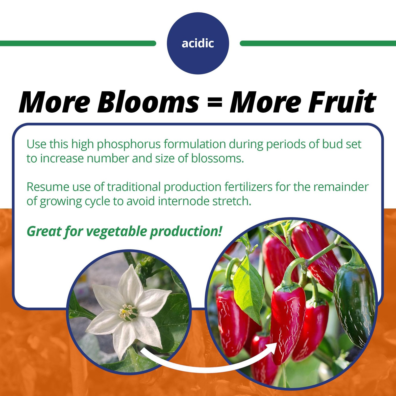 10-30-20 Blossom Booster Water-Soluble Fertilizer with Micronutrients for Inc…