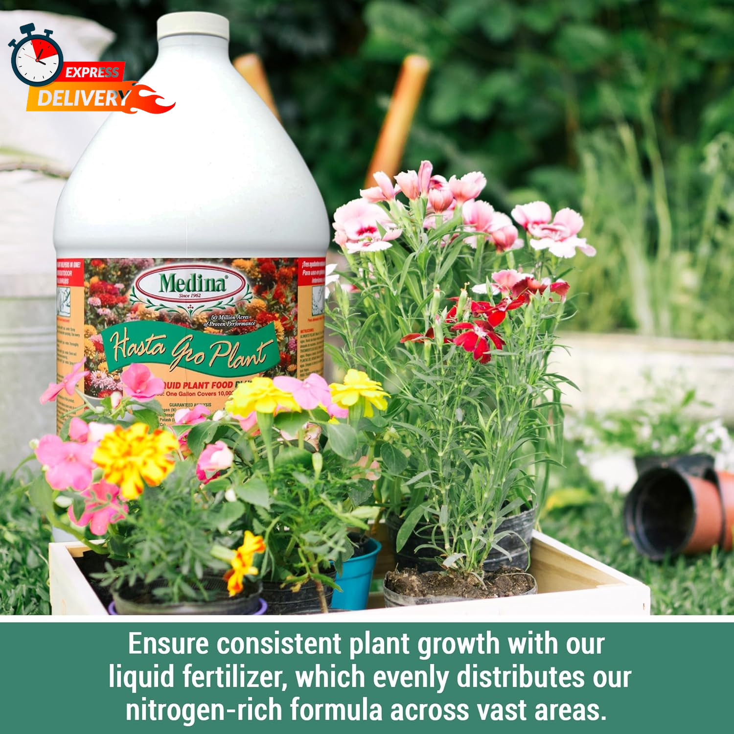 Medina HastaGro Plant Food 6-12-6 Liquid Fertilizer – Natural Plant Fertilizer f