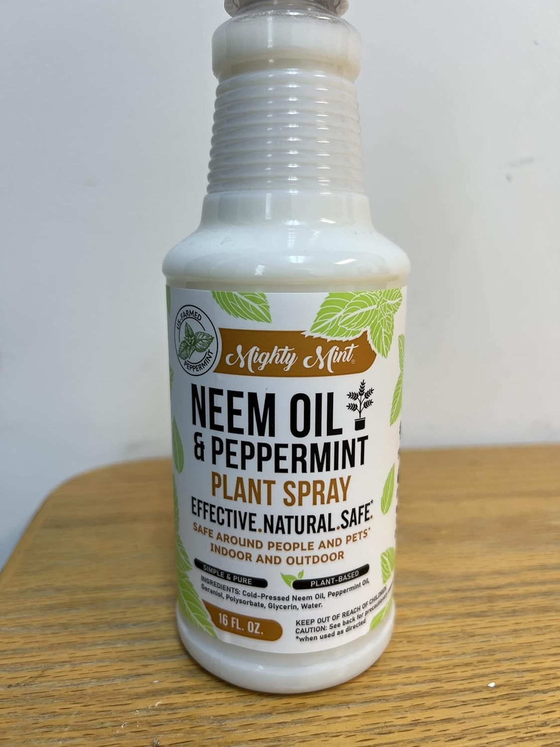 Neem Oil & Peppermint Plant Nutrient Spray – Natural Leaf Shine for Indoor & …