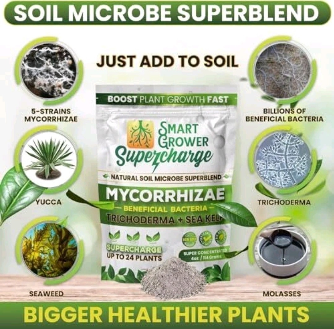 Mycorrhizal Fungi with Beneficial Bacteria, Trichoderma, Sea Kelp, 4 Ounces