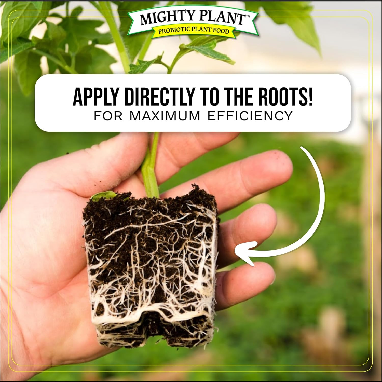 Organic Root Enhancer Ultra-Concentrated Mycorrhizal Fungi Mycoroots – 500 Spore