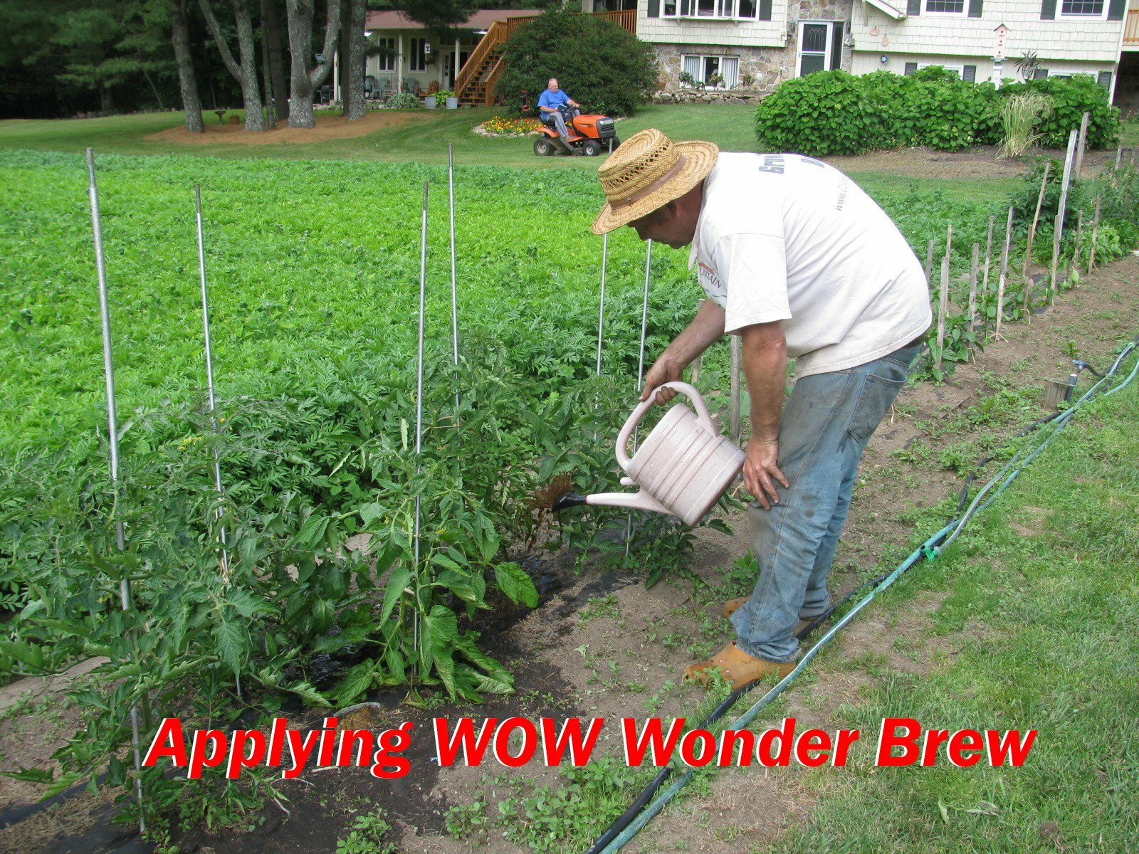 Compost Tea Aerator – The BubbleSnake : 5 Gallon Bucket Aerator