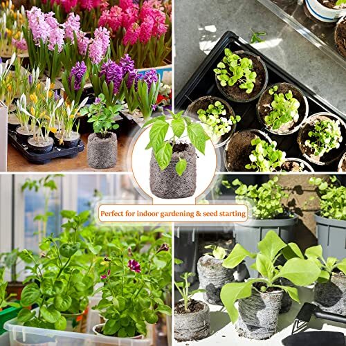 50 PCS 30mm Peat Pellets Starter Compressed Pods for Planting Flower Vegetable