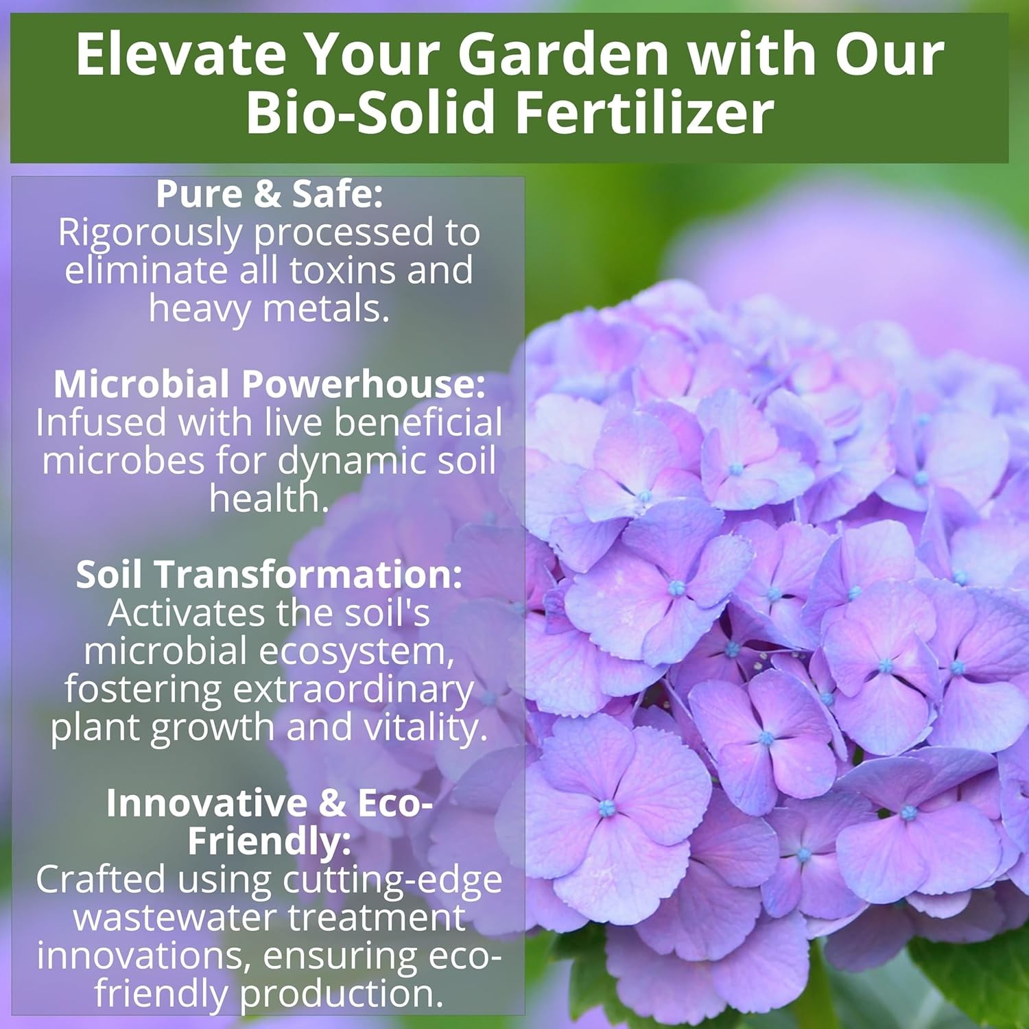 1 Quart 8-4-8 Iron-Rich Fertilizer for Blooms: Ideal for Blueberries & Gardenias