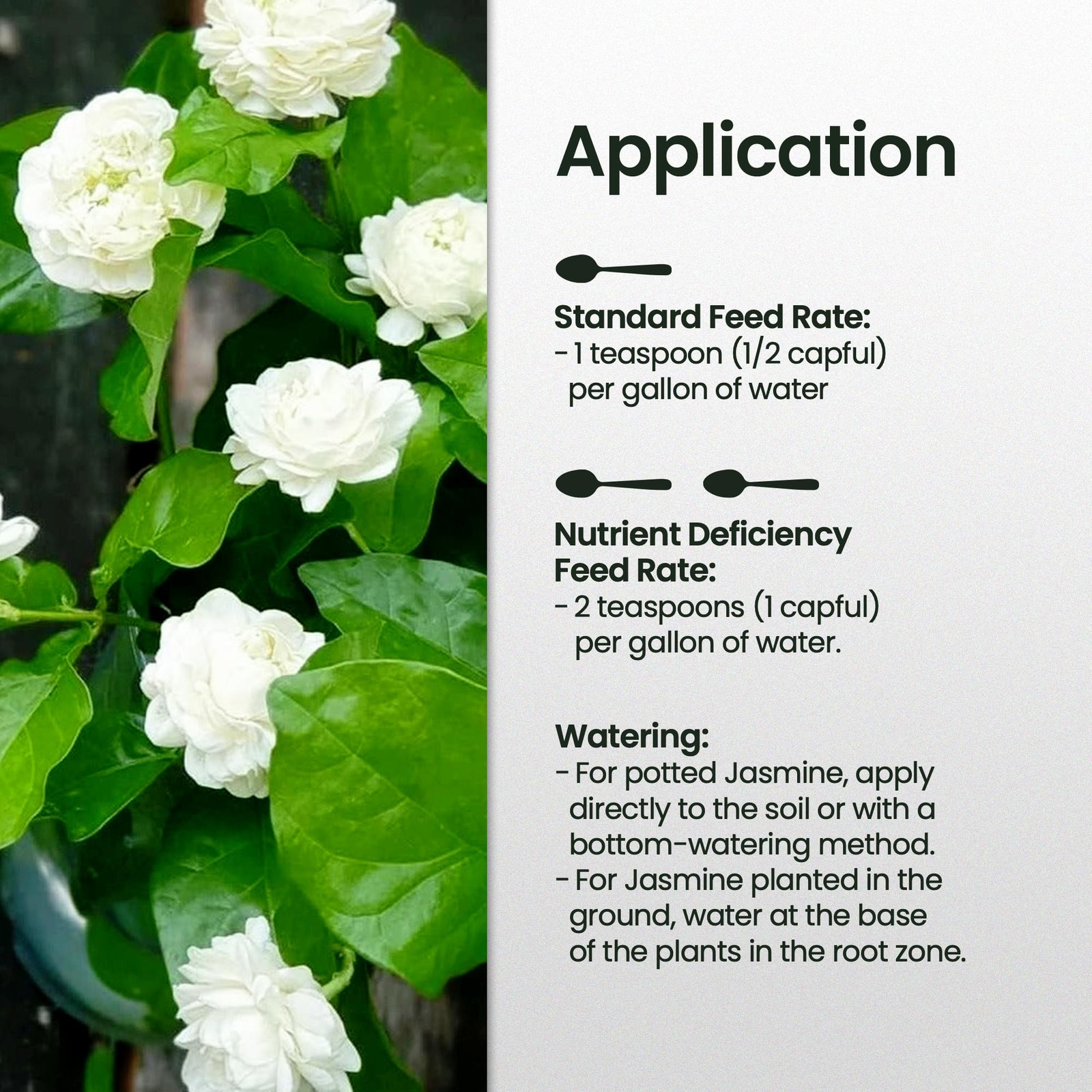 32oz Jasmine Fertilizer for Jasmine Plant Live – Makes 192 Gallons of Indoor Pla