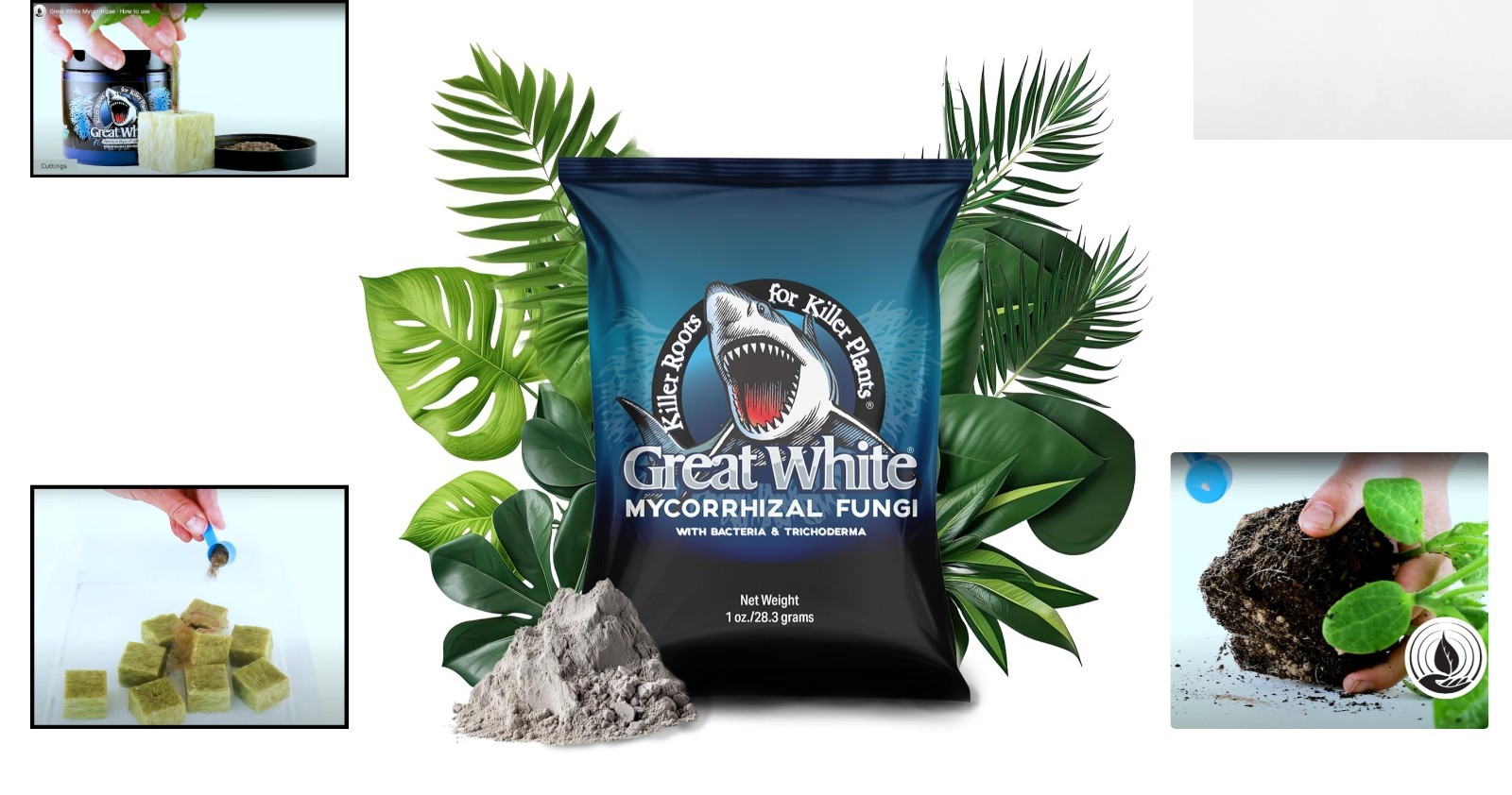 Enhance Plant Health: 1 Oz Mycorrhizal Fungi for Germination & Nutrient Boost