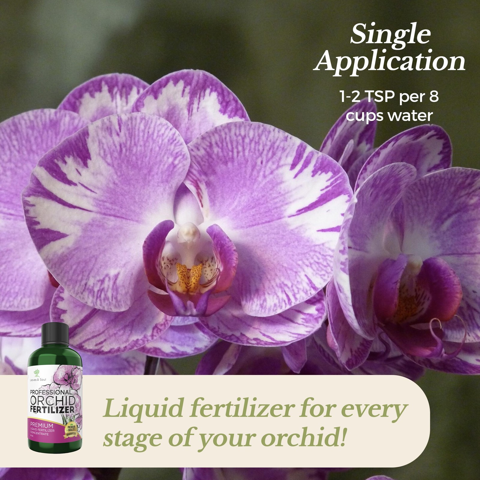 Professional Liquid Indoor Orchid Fertilizer | 3-1-2 Concentrate for Plants and
