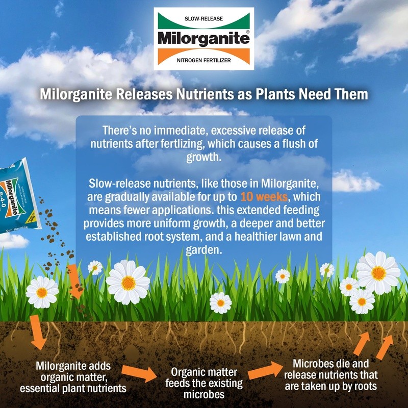All Purpose Lawn Food 6-4-0 Fertilizer Organic Slow Release Granules Non Burning