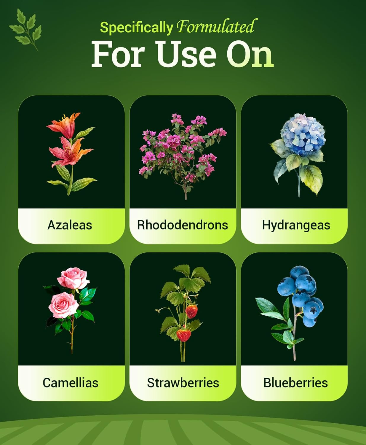 Happy Frog Acid Loving Plants Fertilizer – Slow Release Fertilizer for Azaleas,