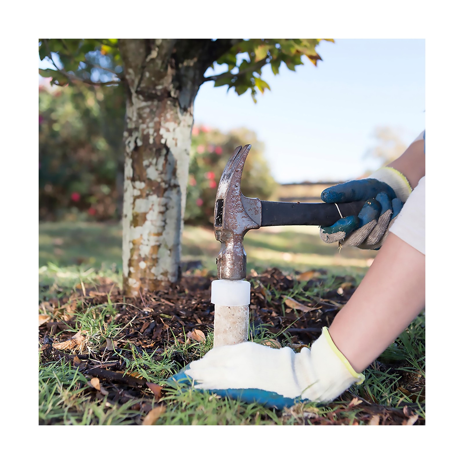 Jobe’s Slow Release Tree and Shrub Fertilizer Spikes, Easy Plant Care for