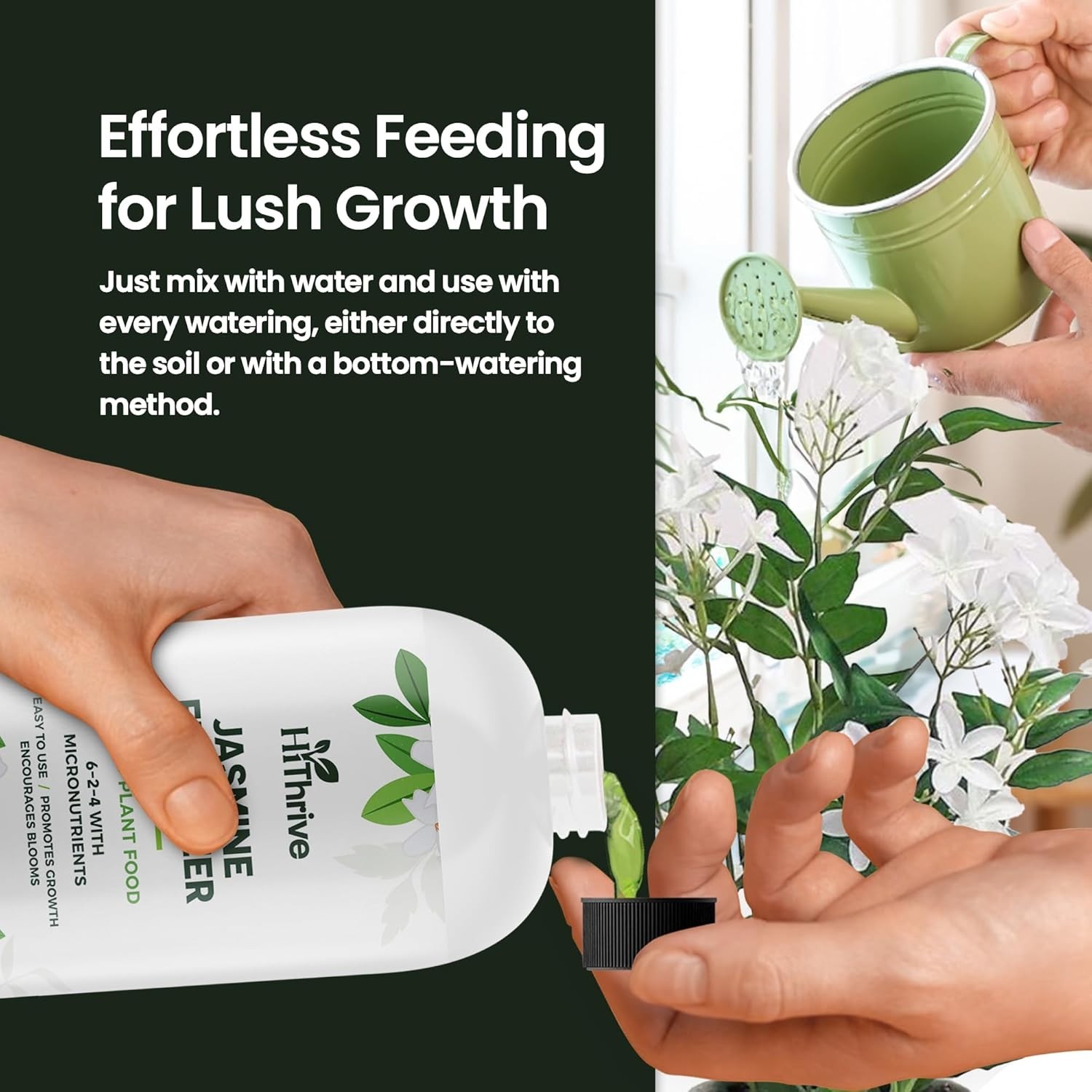 16oz Jasmine Fertilizer – Promotes Vibrant Blooms & Growth for Indoor & Outdo…