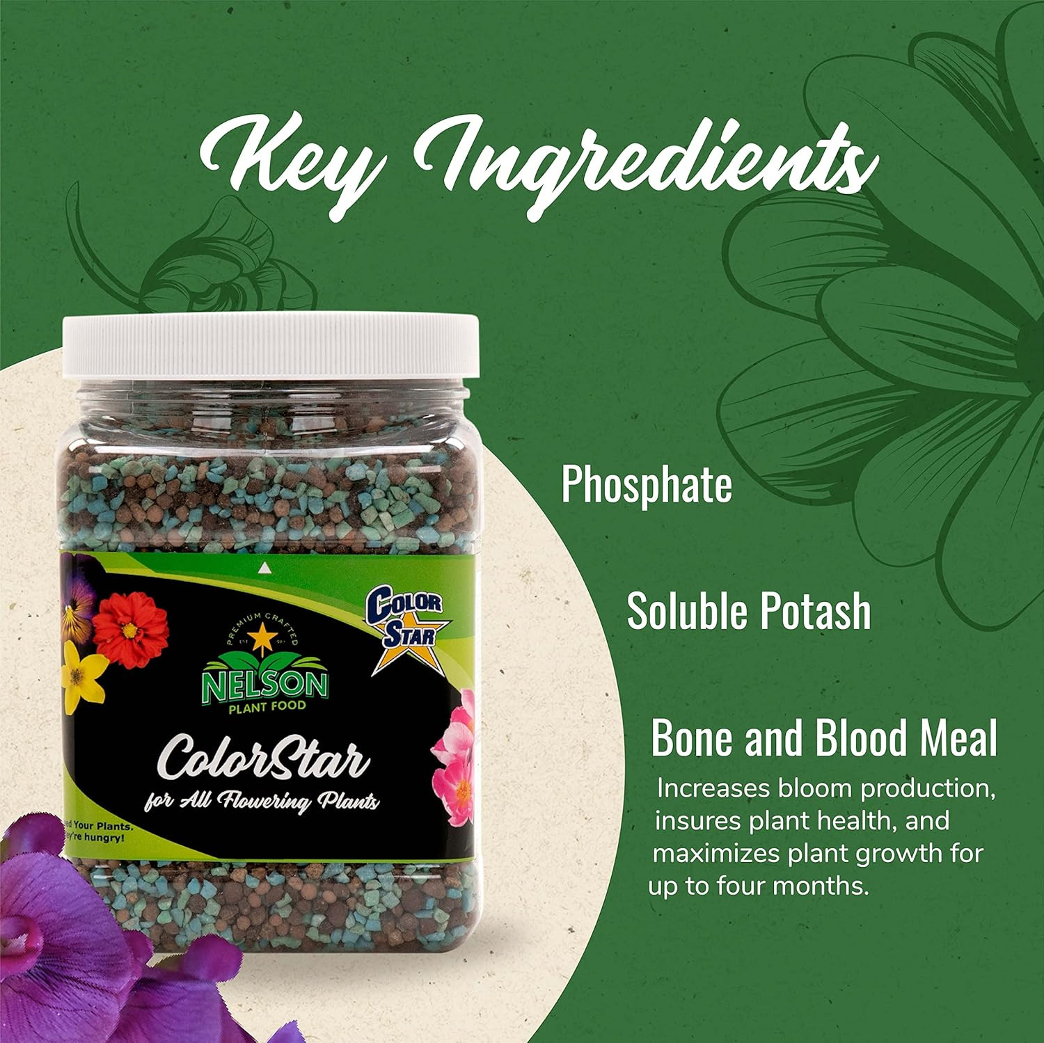 s Colorstar Outdoor & Indoor Plant Fertilizer – Nutrient-Dense Plant Food to Inc