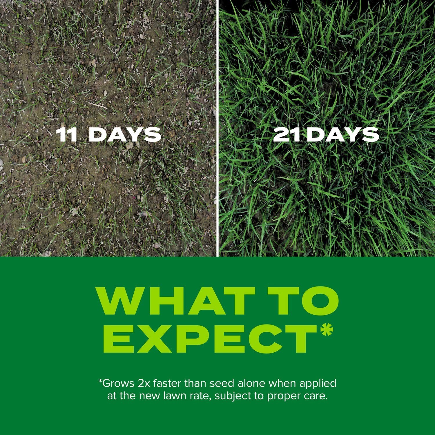 Rapid Grass Tall Fescue Seed & Fertilizer Mix – Fast-Growing Lawn Seed, 16 lbs